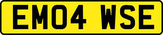 EM04WSE