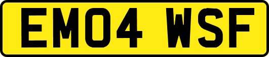 EM04WSF