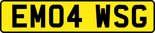 EM04WSG