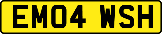 EM04WSH
