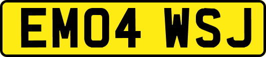 EM04WSJ
