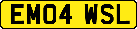 EM04WSL