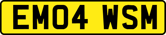 EM04WSM