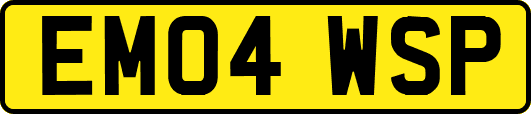 EM04WSP
