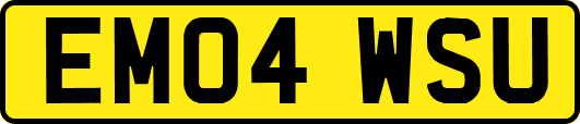 EM04WSU