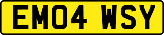 EM04WSY