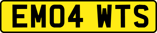 EM04WTS