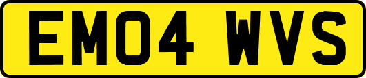 EM04WVS