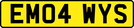 EM04WYS