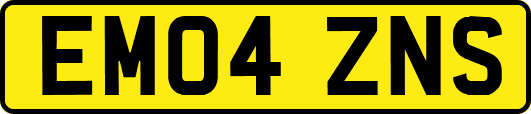 EM04ZNS