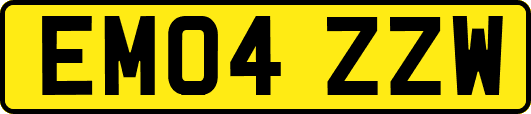 EM04ZZW