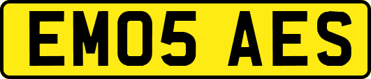 EM05AES
