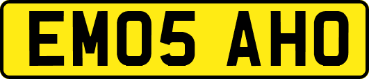 EM05AHO