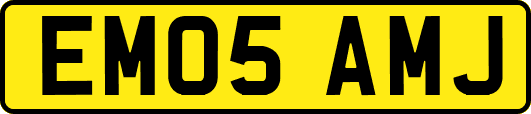 EM05AMJ