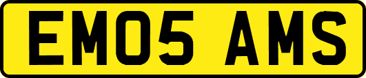 EM05AMS