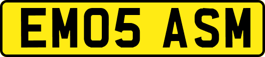 EM05ASM