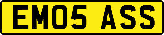EM05ASS