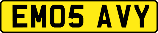 EM05AVY
