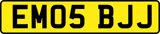 EM05BJJ