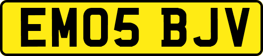 EM05BJV