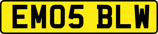EM05BLW