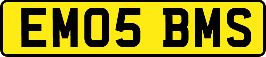 EM05BMS