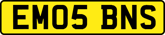 EM05BNS