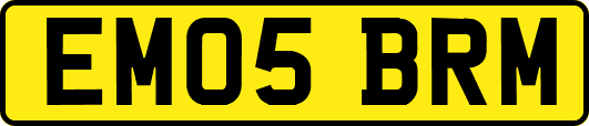 EM05BRM
