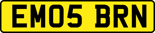 EM05BRN