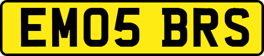EM05BRS