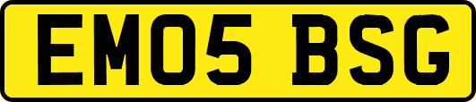EM05BSG
