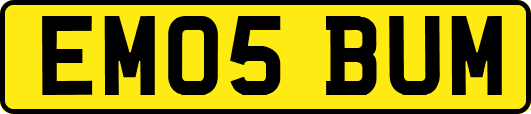 EM05BUM