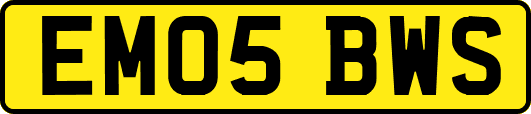 EM05BWS