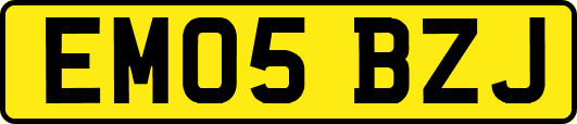 EM05BZJ