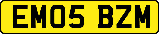 EM05BZM