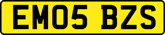EM05BZS