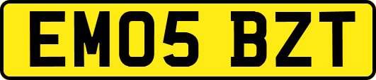 EM05BZT