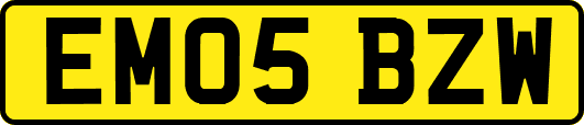 EM05BZW