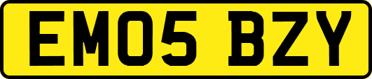 EM05BZY