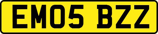 EM05BZZ