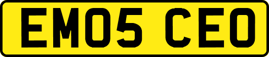 EM05CEO