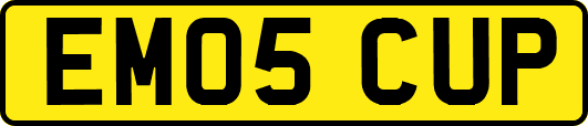 EM05CUP