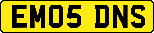 EM05DNS