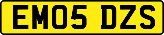 EM05DZS