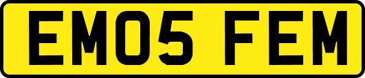 EM05FEM