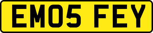EM05FEY