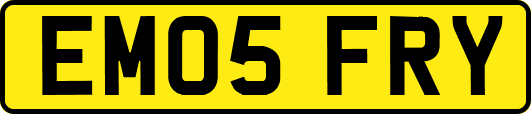 EM05FRY