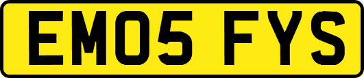 EM05FYS