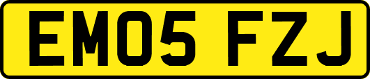 EM05FZJ