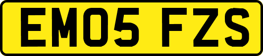 EM05FZS